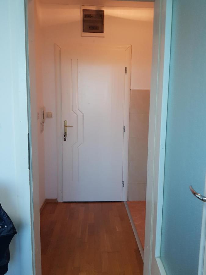 Central Apartment With 24-7 Building Security Újvidék Kültér fotó
